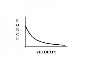 Force-Velocity Curve